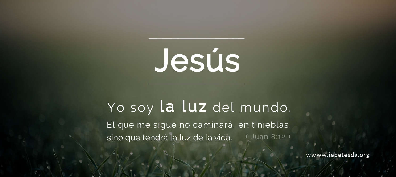 Yo soy la luz de mundo
